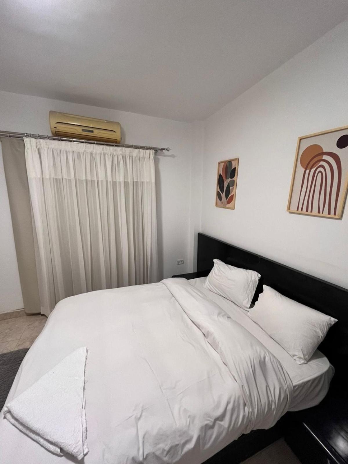 Zamalek 2br 1dr Apartment